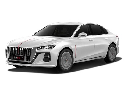 EVA коврики на Hongqi H5 II 2022 - 2025 в Смоленске