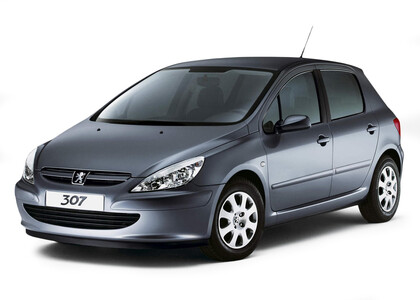 Коврики на Peugeot 307 2001 - 2008 в Смоленске