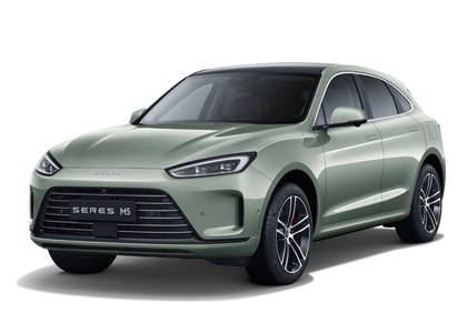 EVA коврики на Seres M5 2021 - 2025 в Смоленске