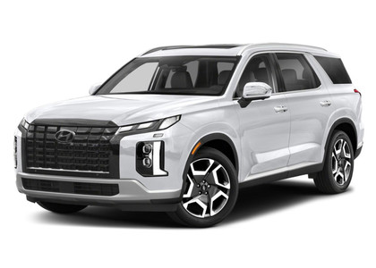 Ворсовые коврики на Hyundai Palisade 2018 - 2025 в Смоленске