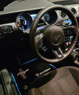 Ворсовые коврики на Ford Mustang VI 2013&nbsp;-&nbsp;2023 в Смоленске
