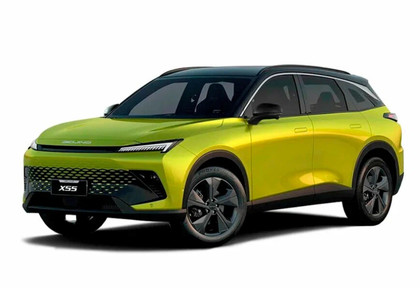 Коврики на Baic X55 2022 - 2025 в Смоленске