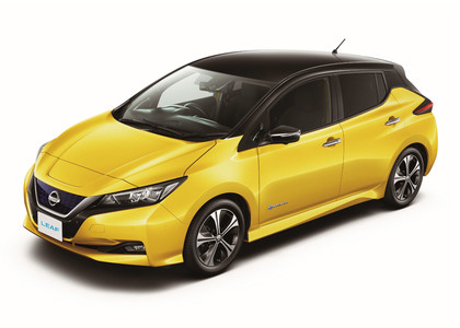 EVA коврики на Nissan Leaf (ZE1) 2017 - 2025 в Смоленске