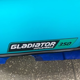 Коврики на Лодки Gladiator E350S  в Смоленске