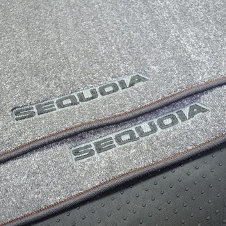 Коврики на Toyota Sequoia I 2001 - 2008 в Смоленске